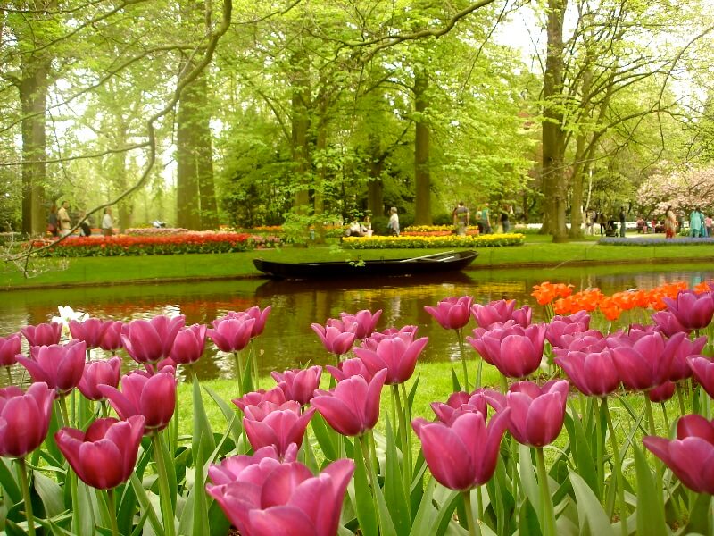 Keukenhof Foto: Reprodução