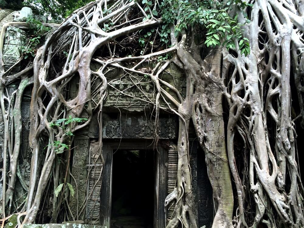 Cambodia1