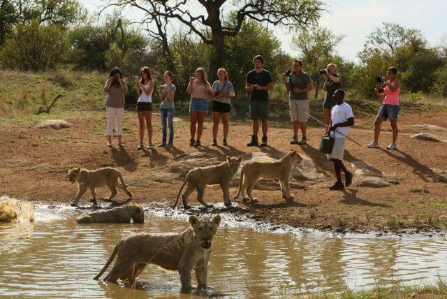 Ukutula Lion Park & Lodge Foto: Divulgação