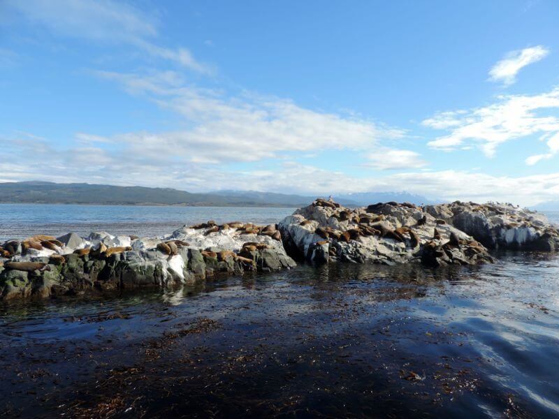 Isla de los Lobos
