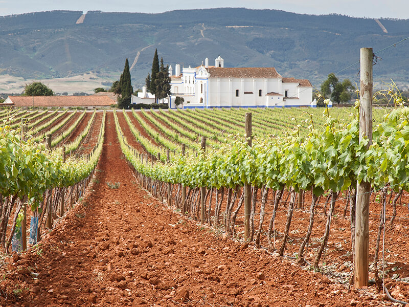 Alentejo Foto: Teresa Perez Tours
