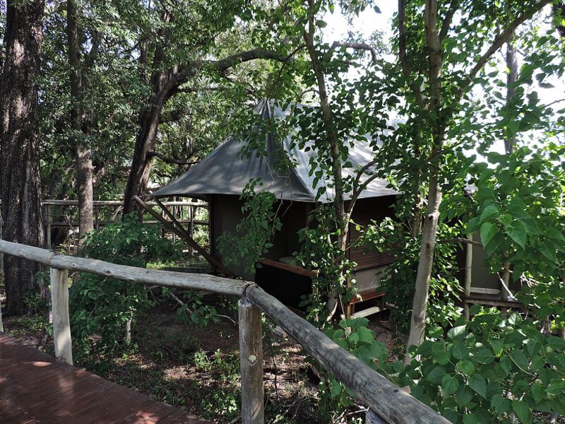 Tenda do Chitabe Camp Foto: magari blu