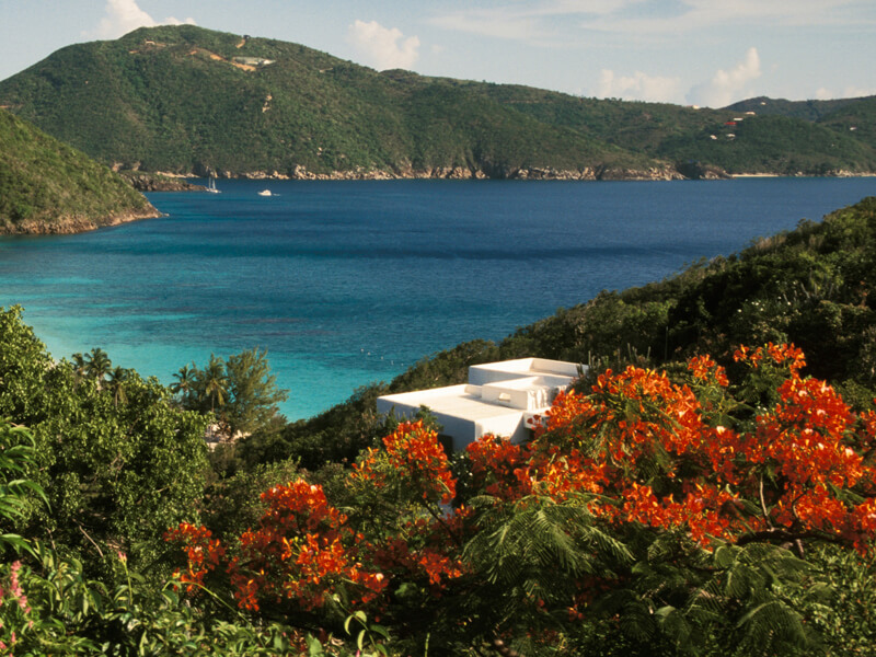 Guana Island Foto: Teresa Perez Tours