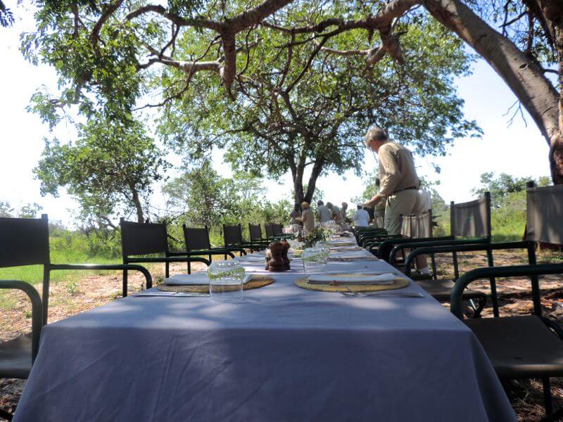 "Brunch in the bush" Foto: magari blu