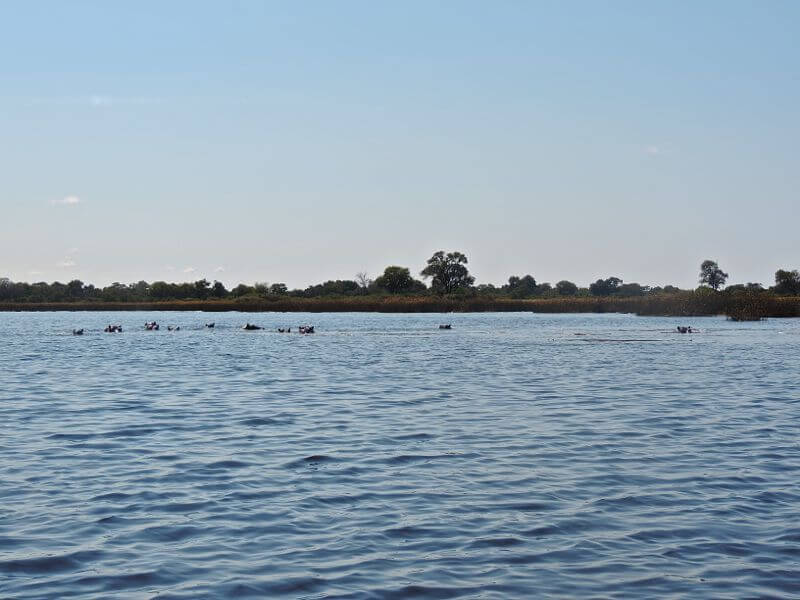 Vumbura