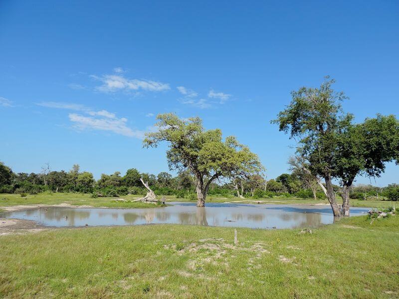 Delta do Okavango Foto: magari blu