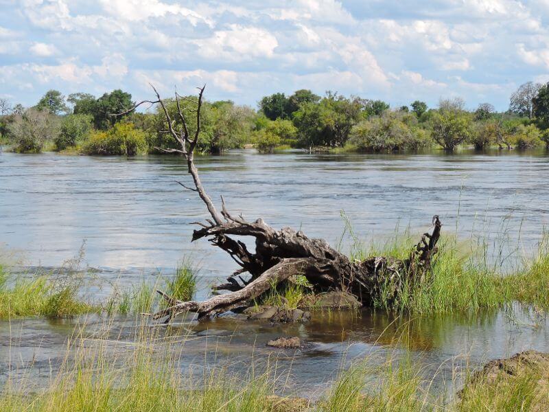 Rio Zambezi Foto: magari blu