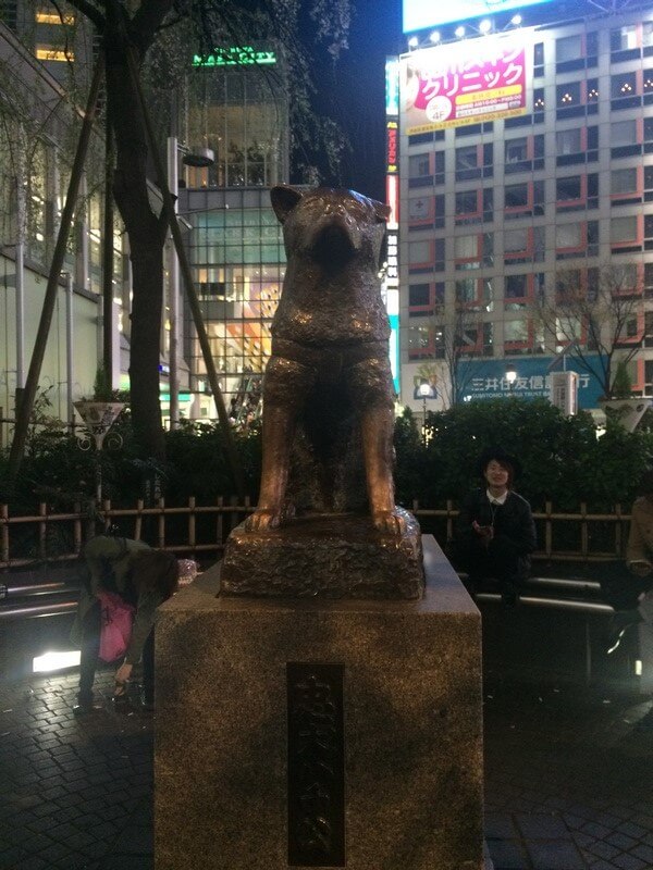 Hachiko: em Shibuya Foto: Luiza Rodas