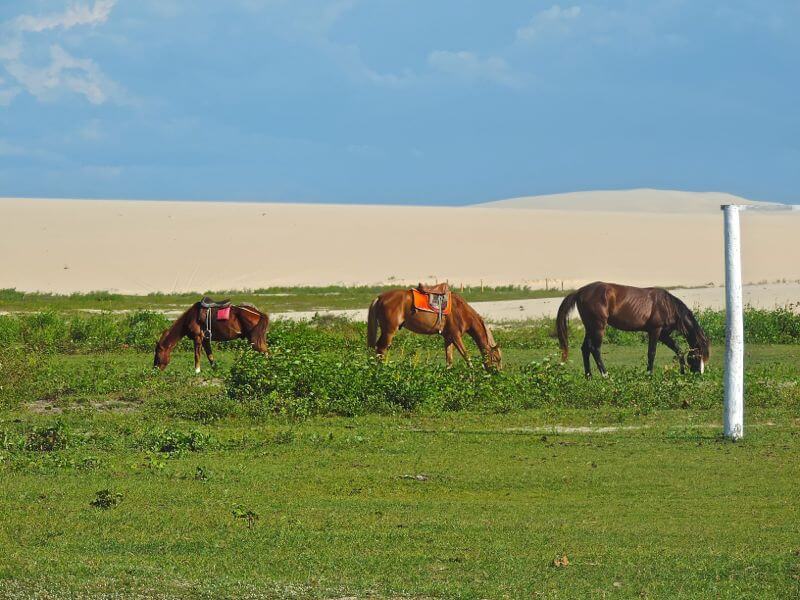 Jericoacoara Foto: magari blu