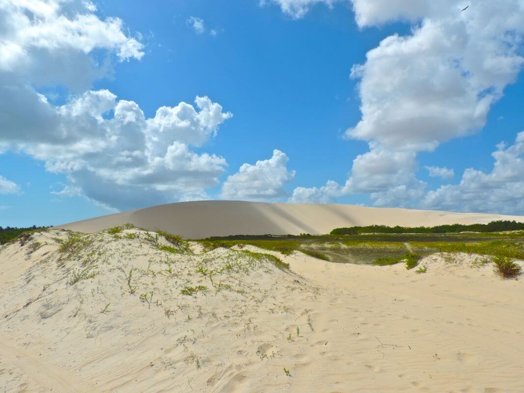Parque Nacional de Jericoacoara Foto: magari blu