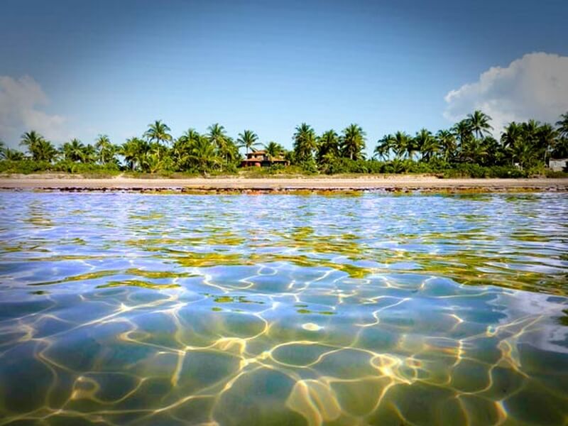 Praia de Algodões Foto: Reprodução