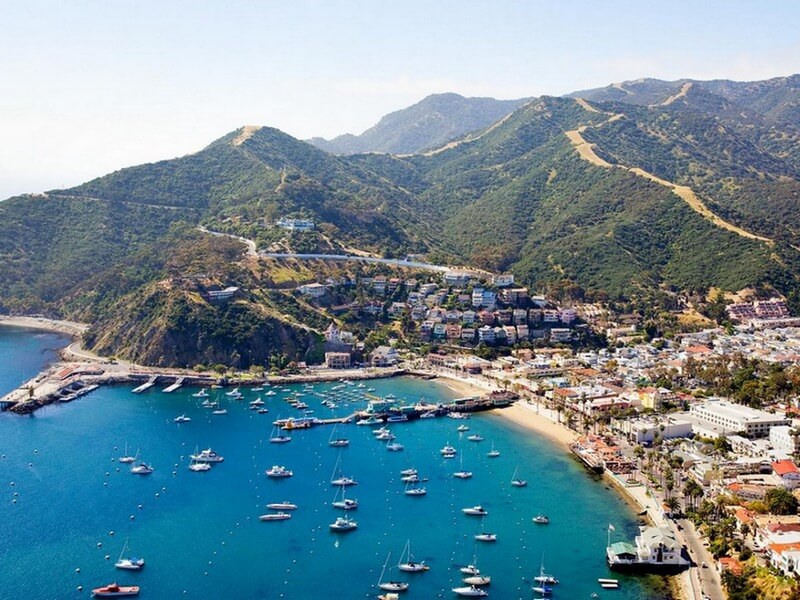 Ilha de Catalina Foto: Reprodução