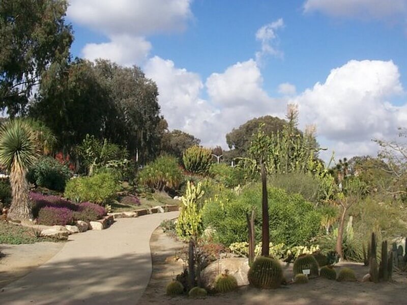 Desert Garden Foto: Reprodução