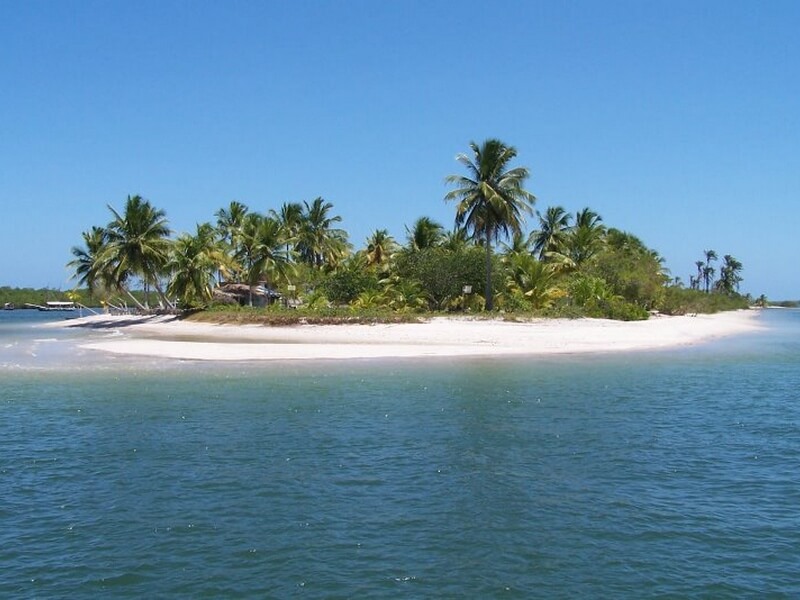 Ilha do Goió Foto: Reprodução