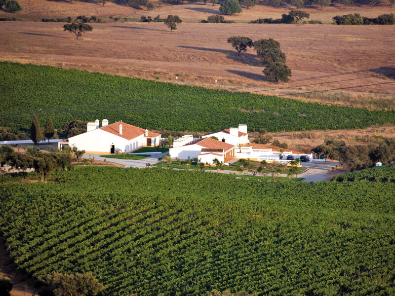 Alentejo Foto: Teresa Perez Tours