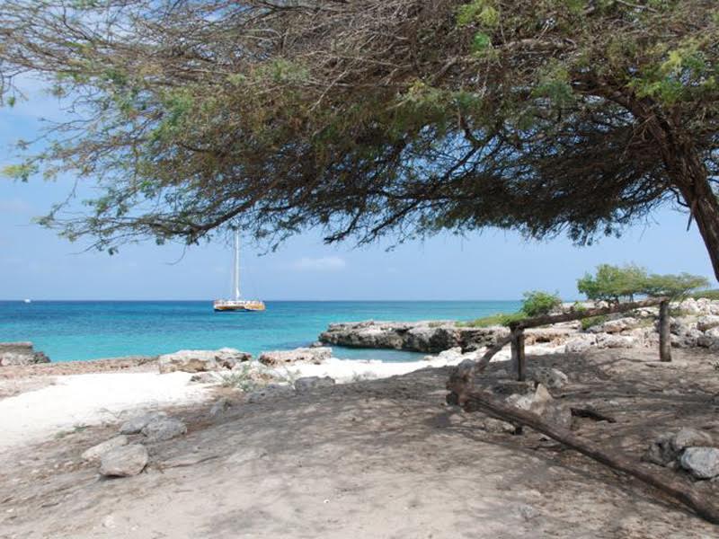 Praia Boca Catalina Foto: Divulgação