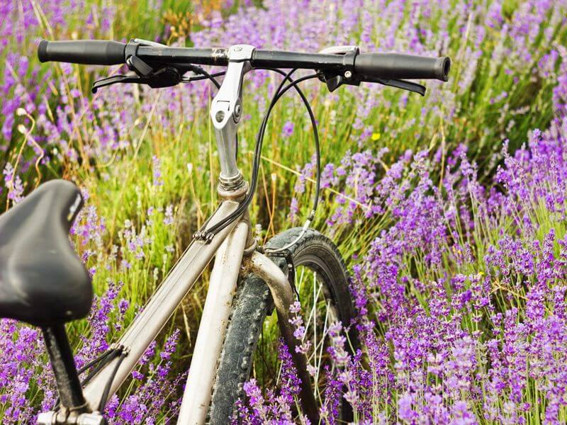 Provence Foto: Teresa Perez Tours