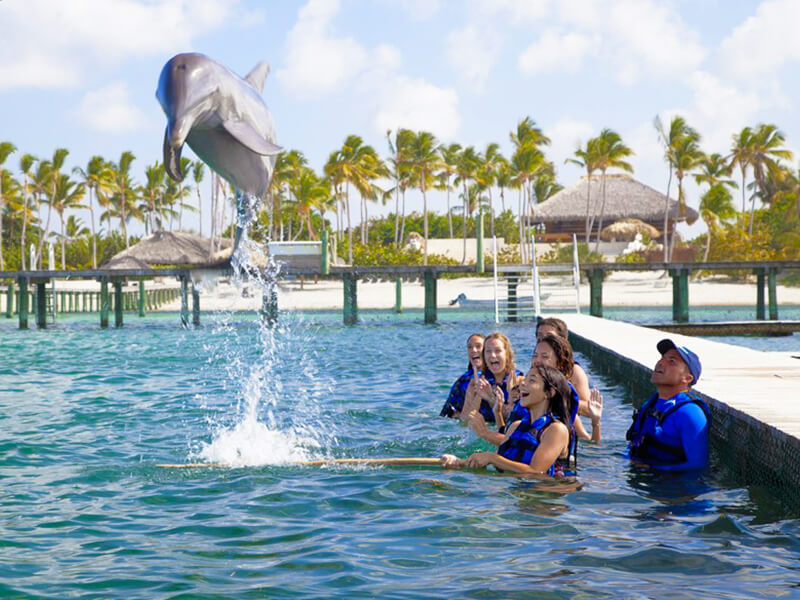 Dolphin Explorer Foto: Divulgação