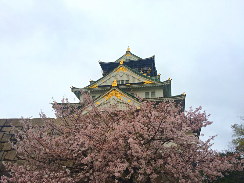 Castelo de Osaka Foto: Luiza Rodas