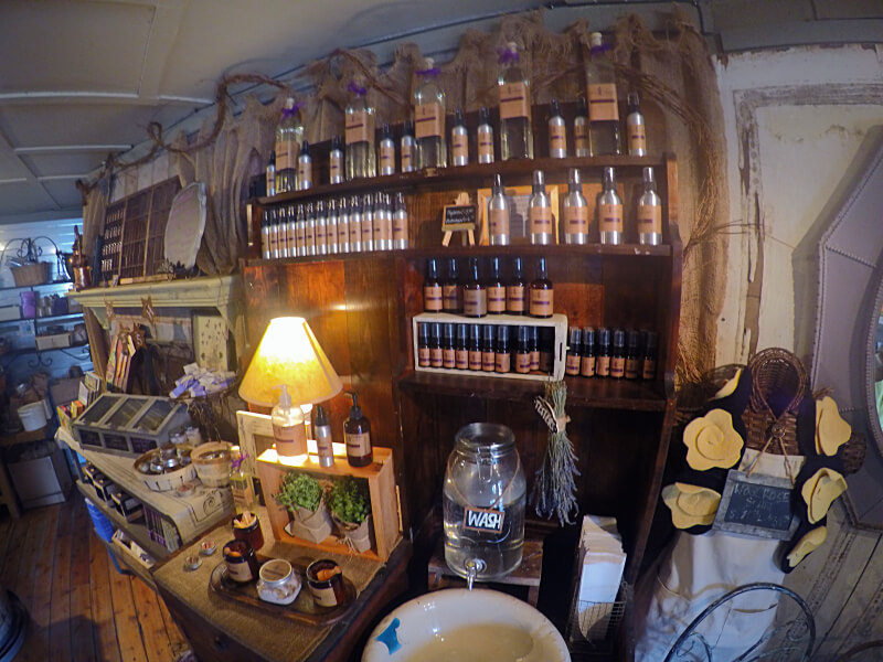 Temecula Lavender Company Foto: magari blu