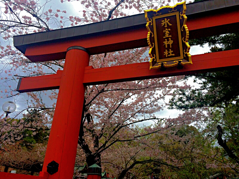 Templo Todai-ji Foto: Luiza Rodas