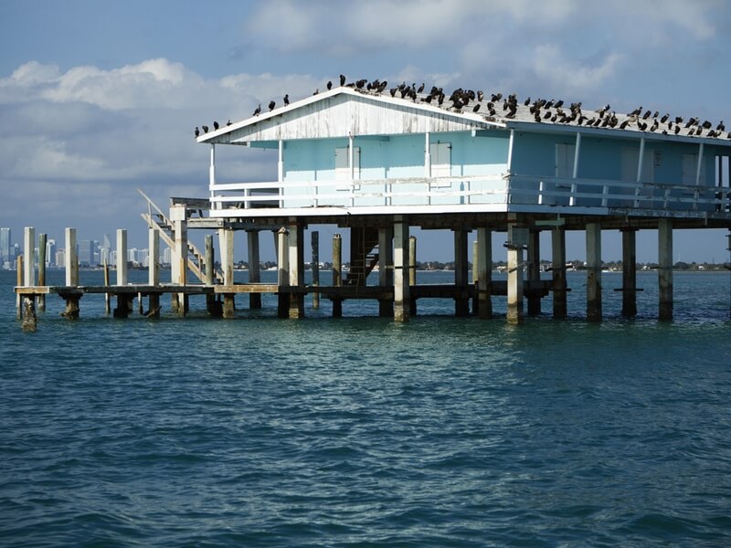 Stiltsville Foto: Reprodução