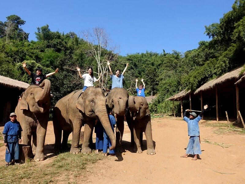 Anantara Golden Triangle Elephant Camp & Resort Foto: Divulgação