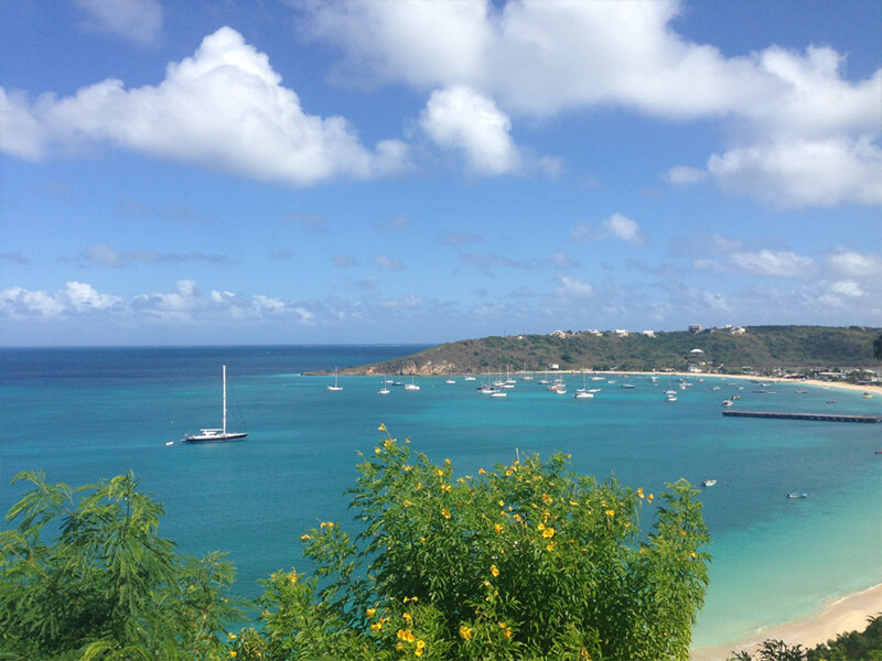 Anguilla Foto: Marina Fonseca