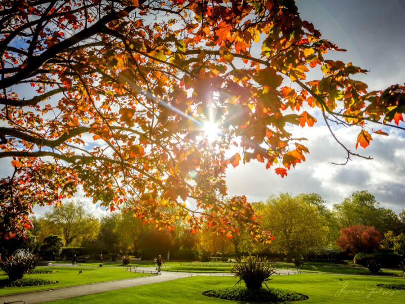 St Stephen’s Green Foto: Reprodução