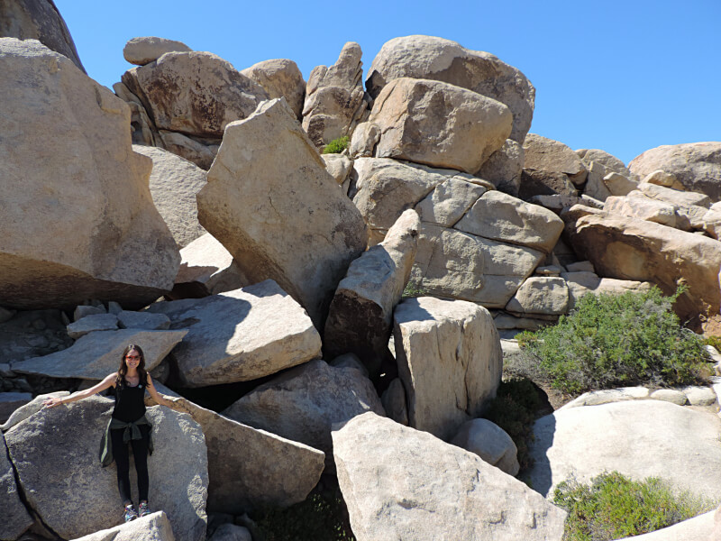 Joshua Tree National Park Foto: magari blu