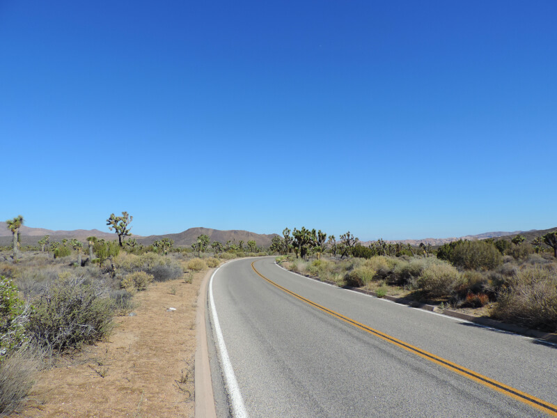 Joshua Tree National Park Foto: magari blu