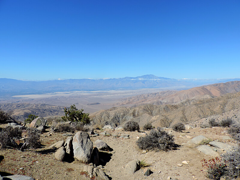 Joshua Tree National Park Foto: magari blu