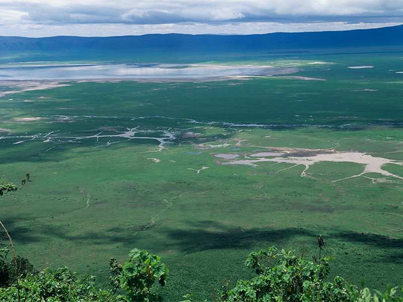 Reserva Natural Ngorongoro Foto: Teresa Perez 