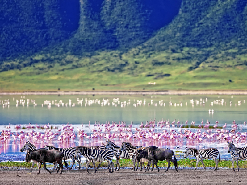 Reserva Natural Ngorongoro Foto: Teresa Perez Tours