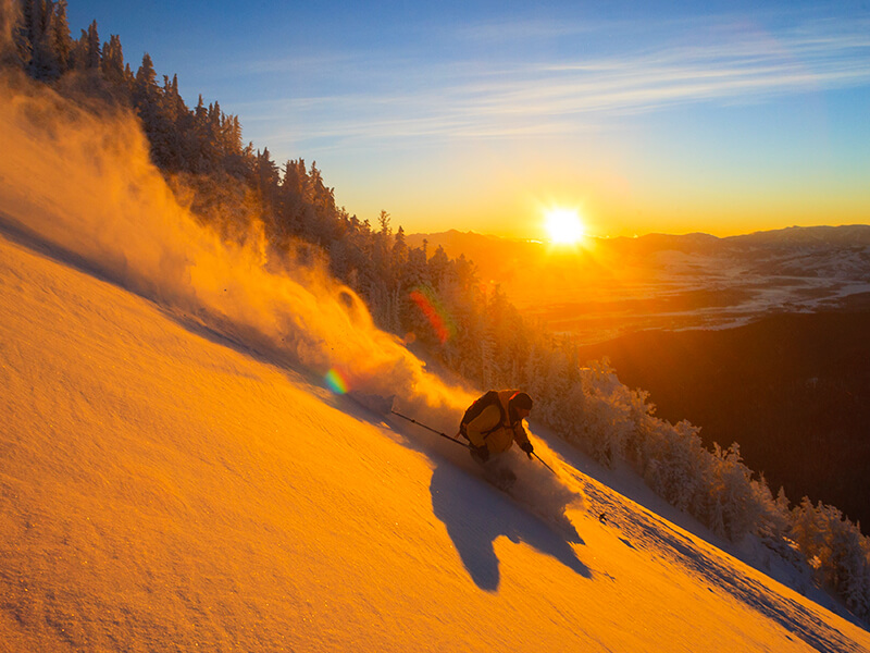 Jackson Hole Foto: Shutter