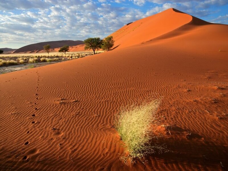 Sossusvlei Foto: Teresa Perez Tours