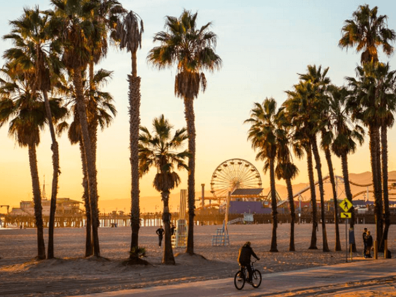 Venice Beach Foto: Reprodução