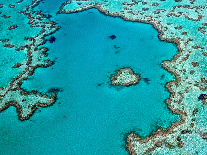 Heart Reef Foto: Teresa Perez Tours