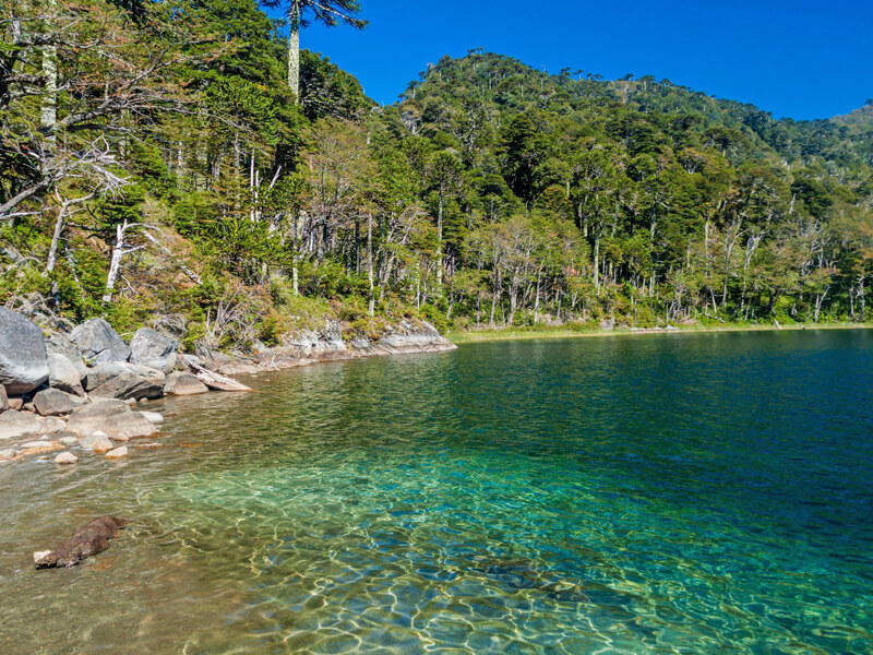 Parque Nacional Huerquehue Foto: Teresa Perez Tours