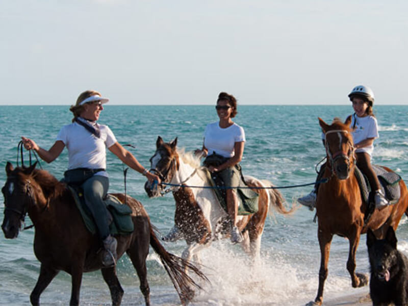 Passeio de cavalo Foto: Divulgação