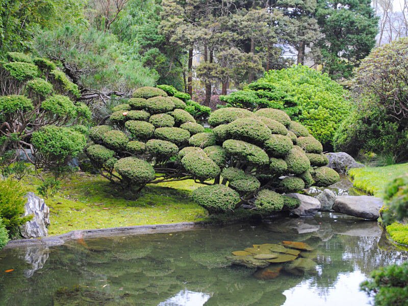 Japanese Tea Garden Foto: Reprodução