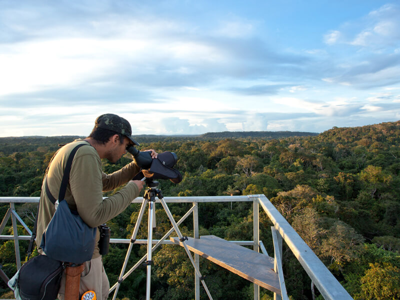Foto: Cristalino Lodge