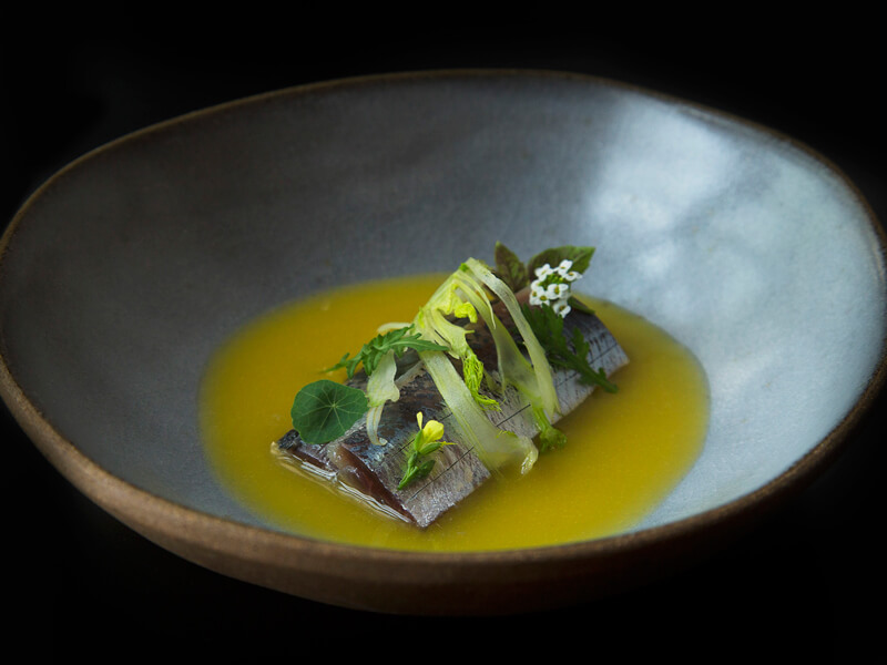 Peixe com tucupi Foto: Bruno Geraldi