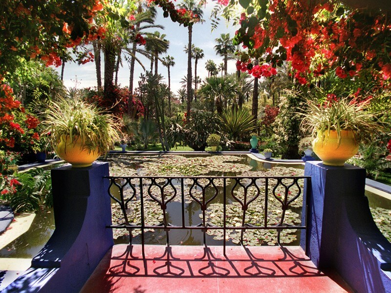 Jardim Majorelle Foto: Reprodução