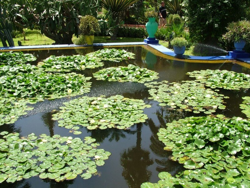 Jardim Majorelle Foto: Reprodução