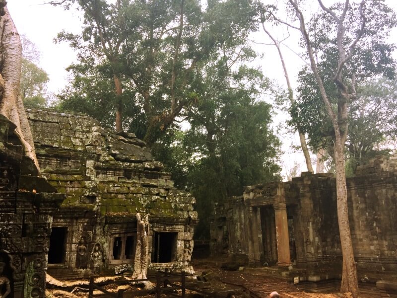 Ta Prohm Foto: Ana Maria Junqueira