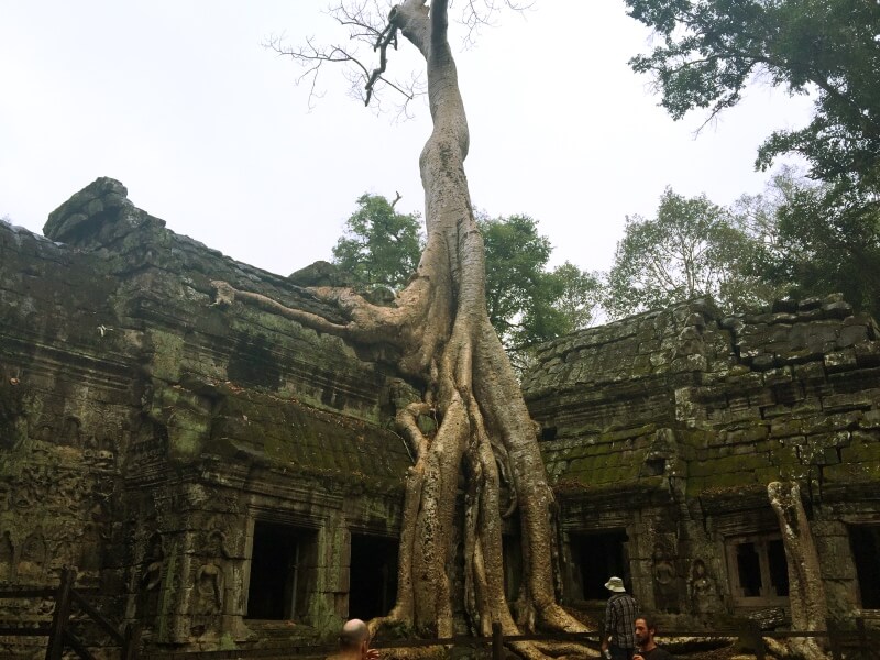 Ta Prohm Foto: Ana Maria Junqueira