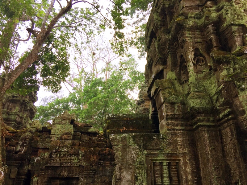 Ta Prohm Foto: Ana Maria Junqueira