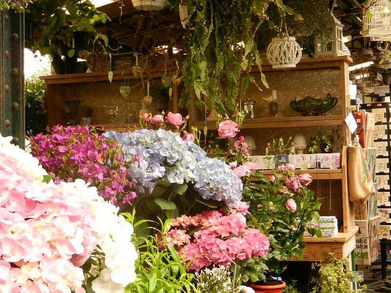 Flower market of Ile de la Cité Foto: Reprodução