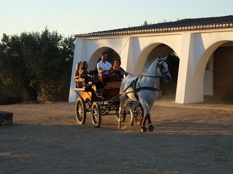 Herdade da Malhadinha Nova Foto: Divulgação
